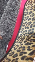 leopard-detail